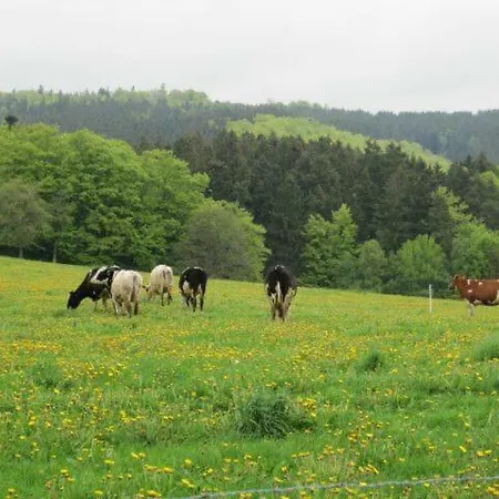 Haus-dorfidyll *