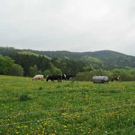 Haus-dorfidyll * Spangenberg