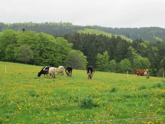 Haus-dorfidyll *